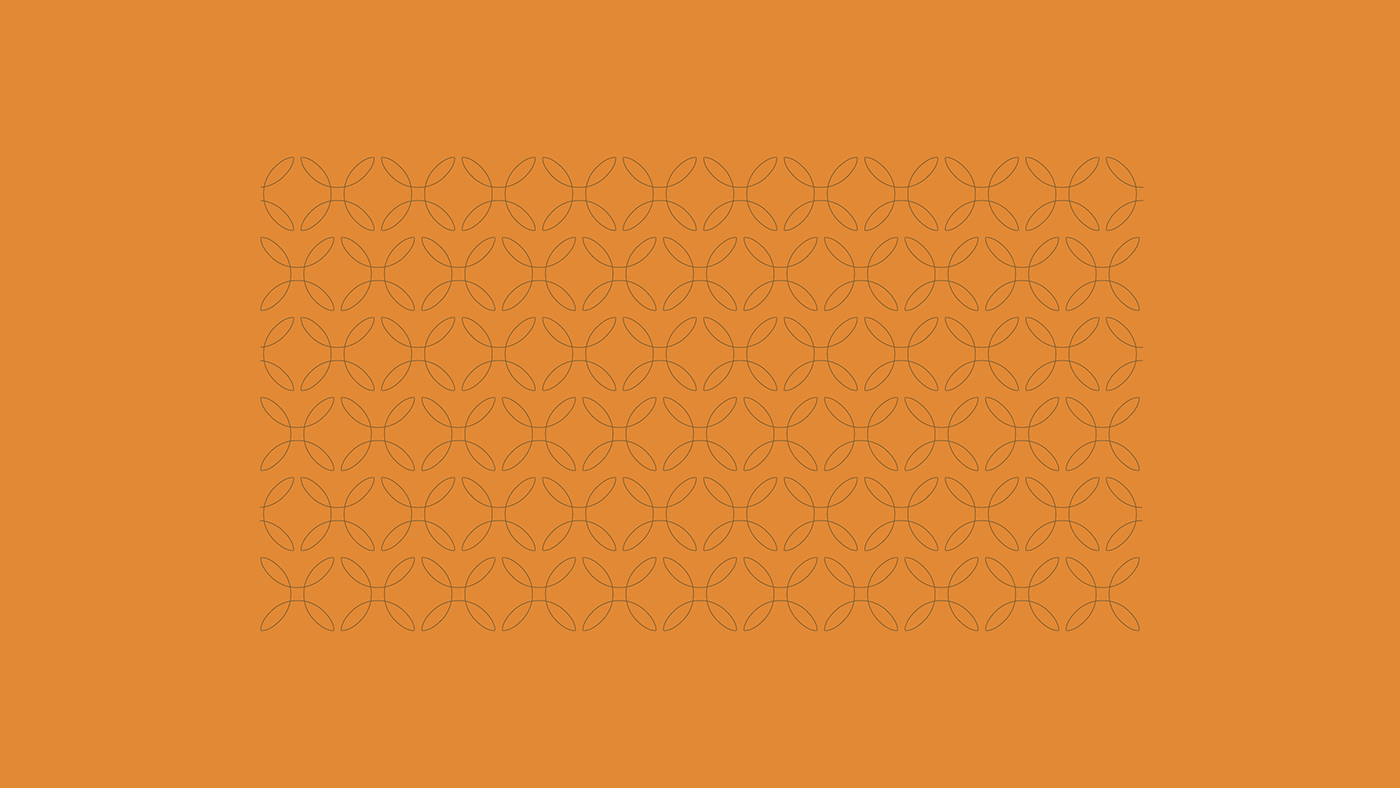 Viviane Botteon, identidade visual, imagem 5